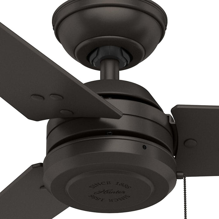 Hunter 52" Cassius Ceiling Fan with Pull Chains