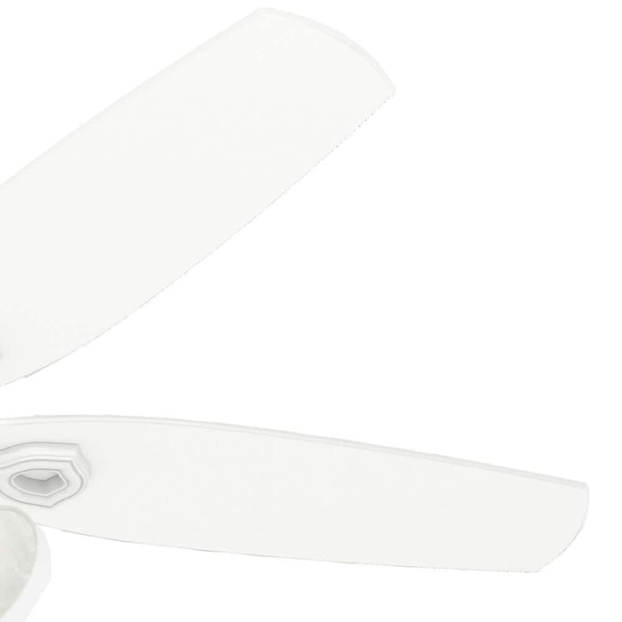 Hunter 52" Builder Ceiling Fan with 3-Light LED Light Kit and Pull Chains