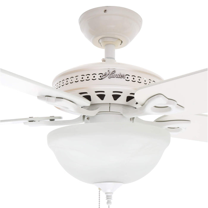 Hunter 52" Astoria Ceiling Fan with LED Light Kit and Pull Chains